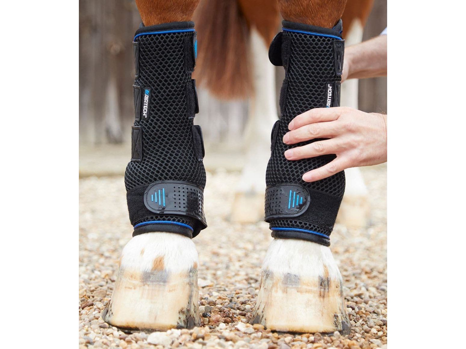 Premier Equine Cold Water Compression Boots