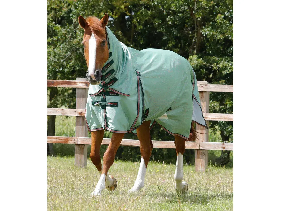 Premier Equine Combo Mesh Air Fly Rug with Surcingles