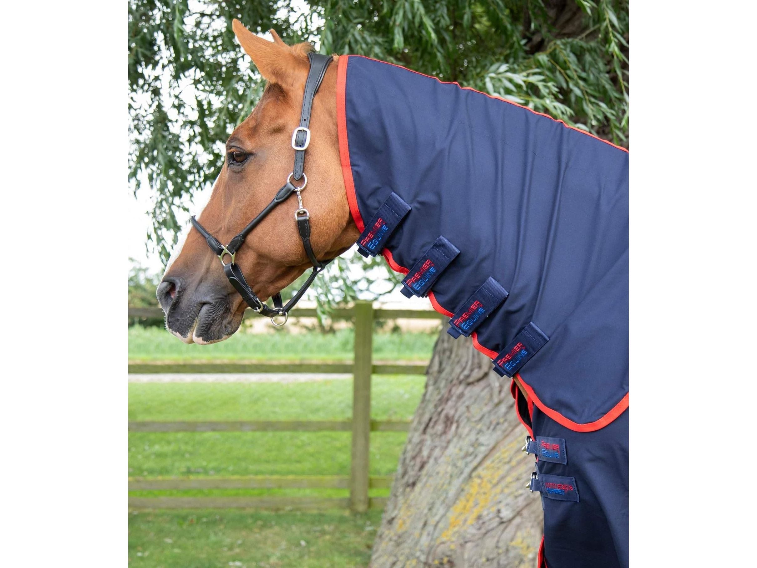Premier Equine Combo Stable Sheet Navy