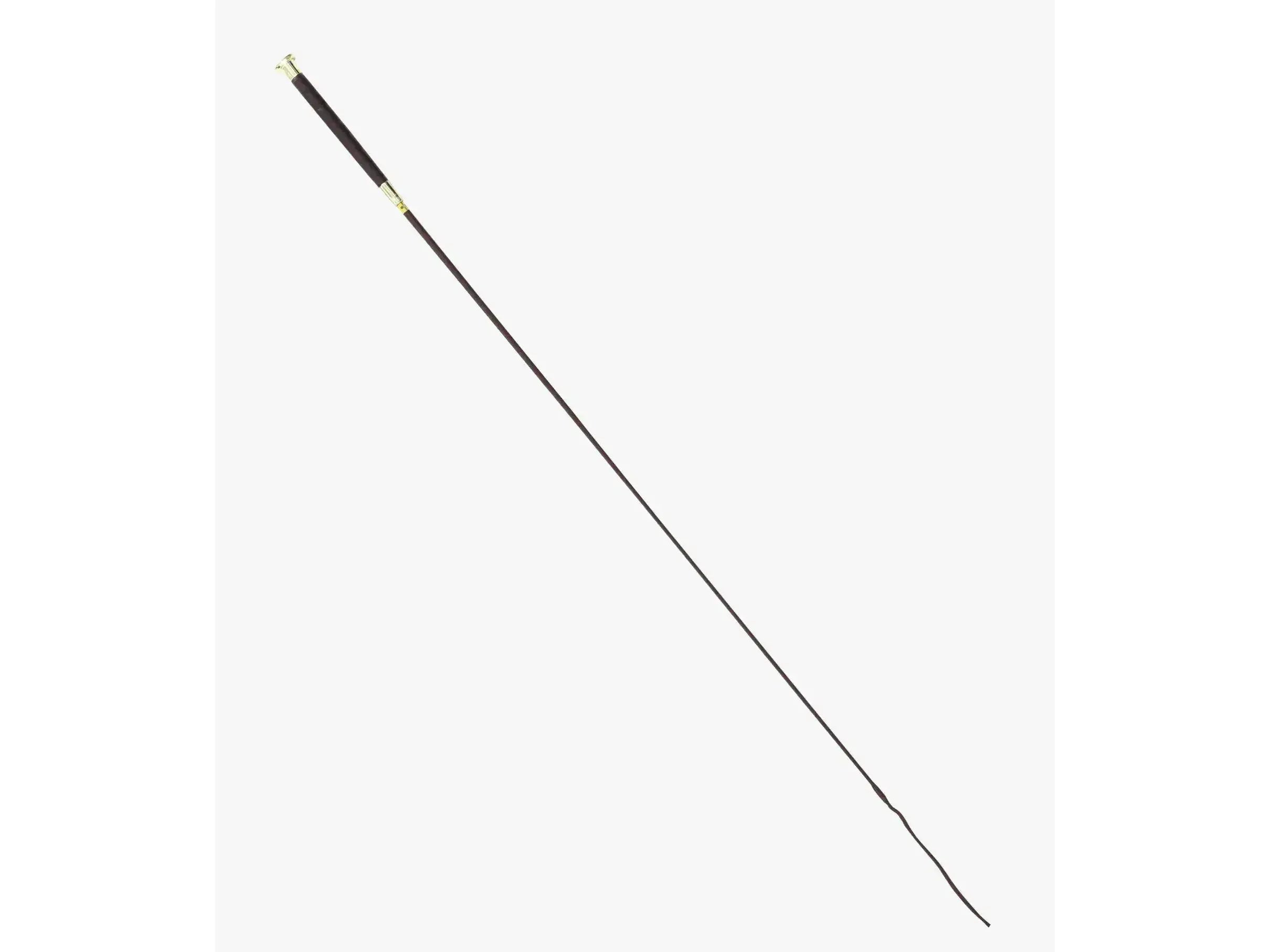 Premier Equine Deruta Dressage Whip