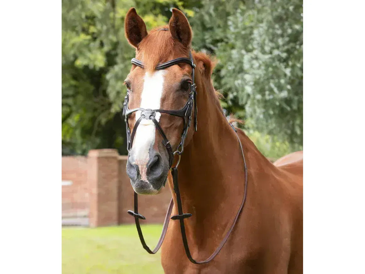 Premier Equine Diego Rubber Reins