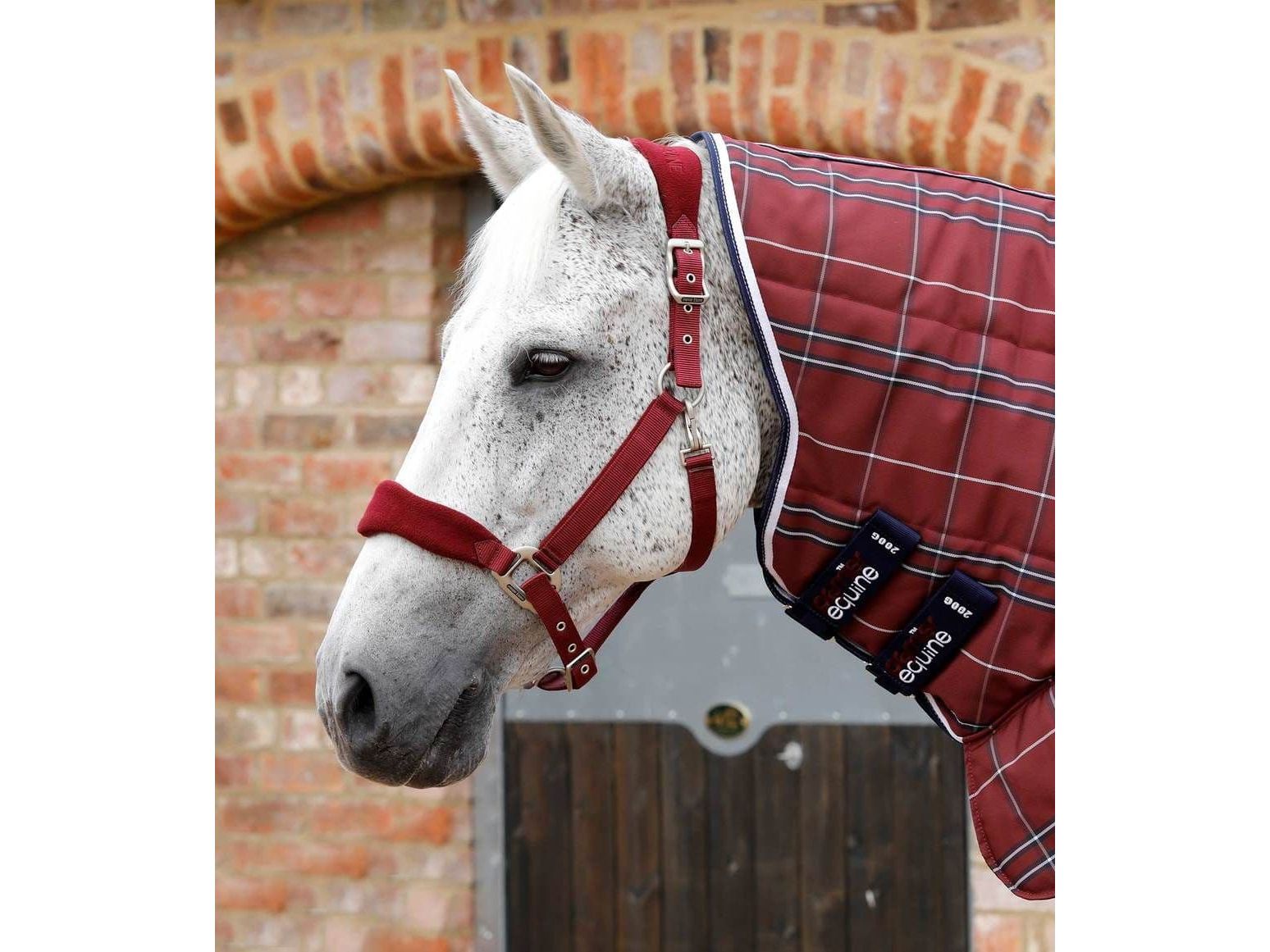 Premier Equine Domus 200g Combo Stable Rug