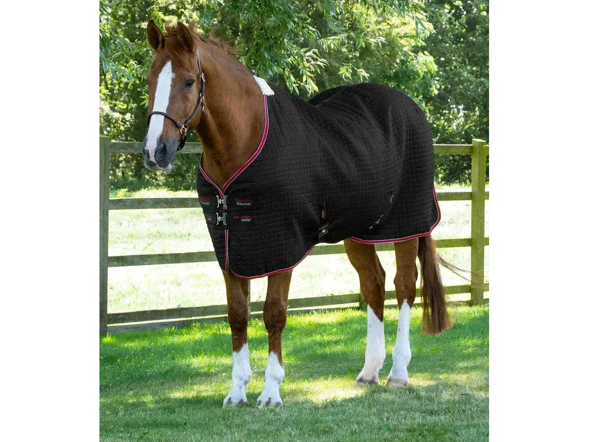 Premier Equine Dry-Tech Cooler