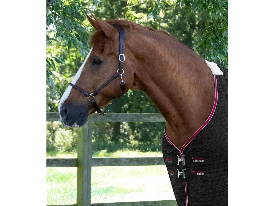 Premier Equine Dry-Tech Cooler