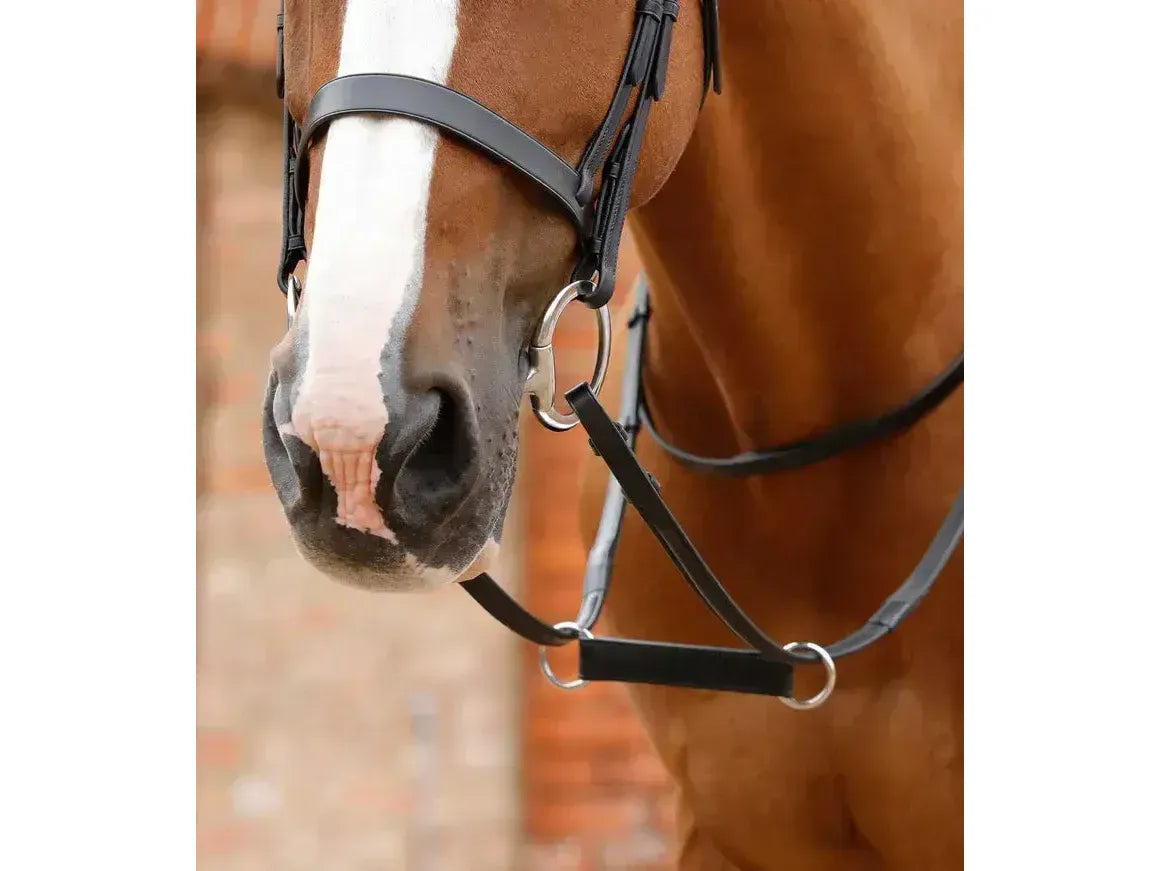 Premier Equine Esperia Irish Martingale