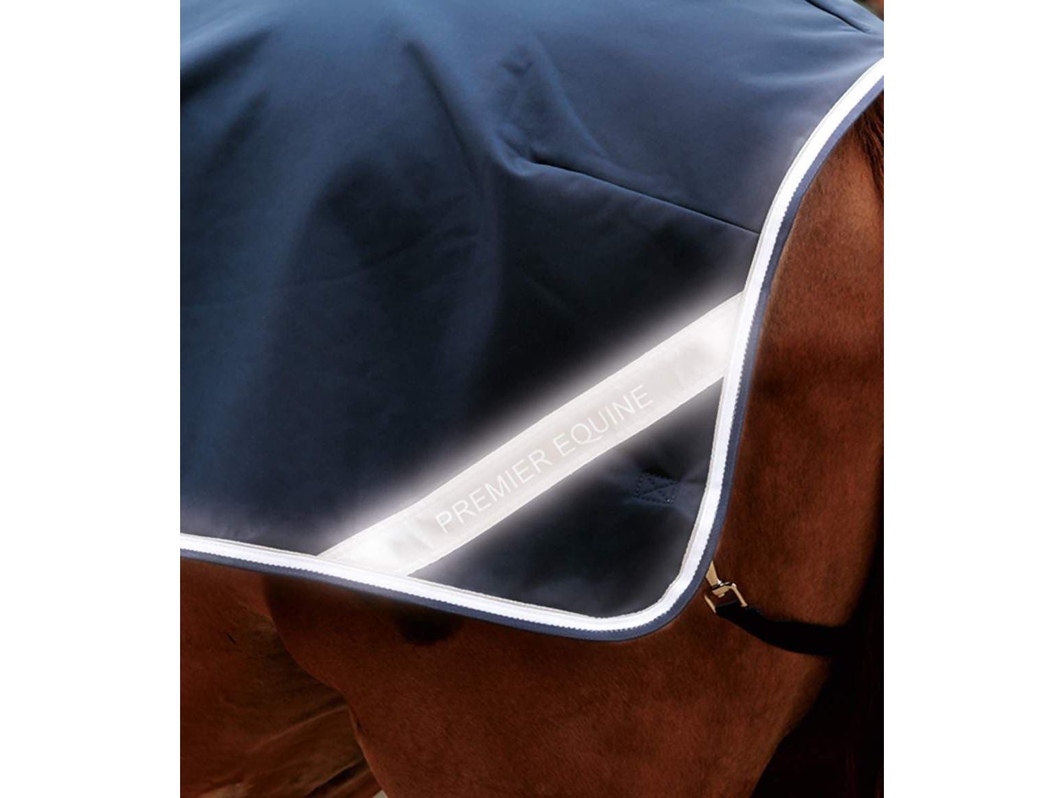 Premier Equine Exercise/Competition Sheet