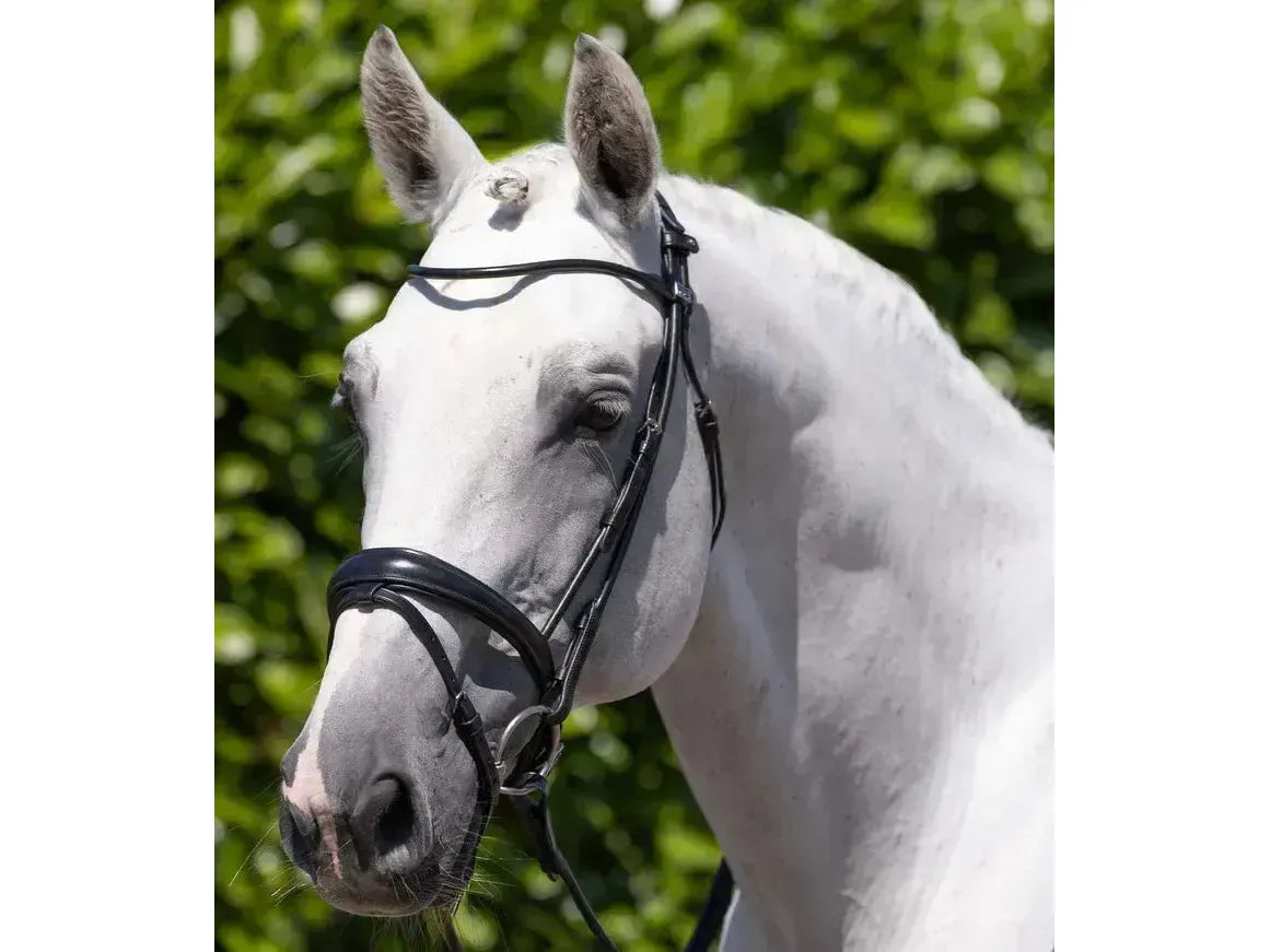 Premier Equine Finetti Rolled Leather Snaffle Bridle