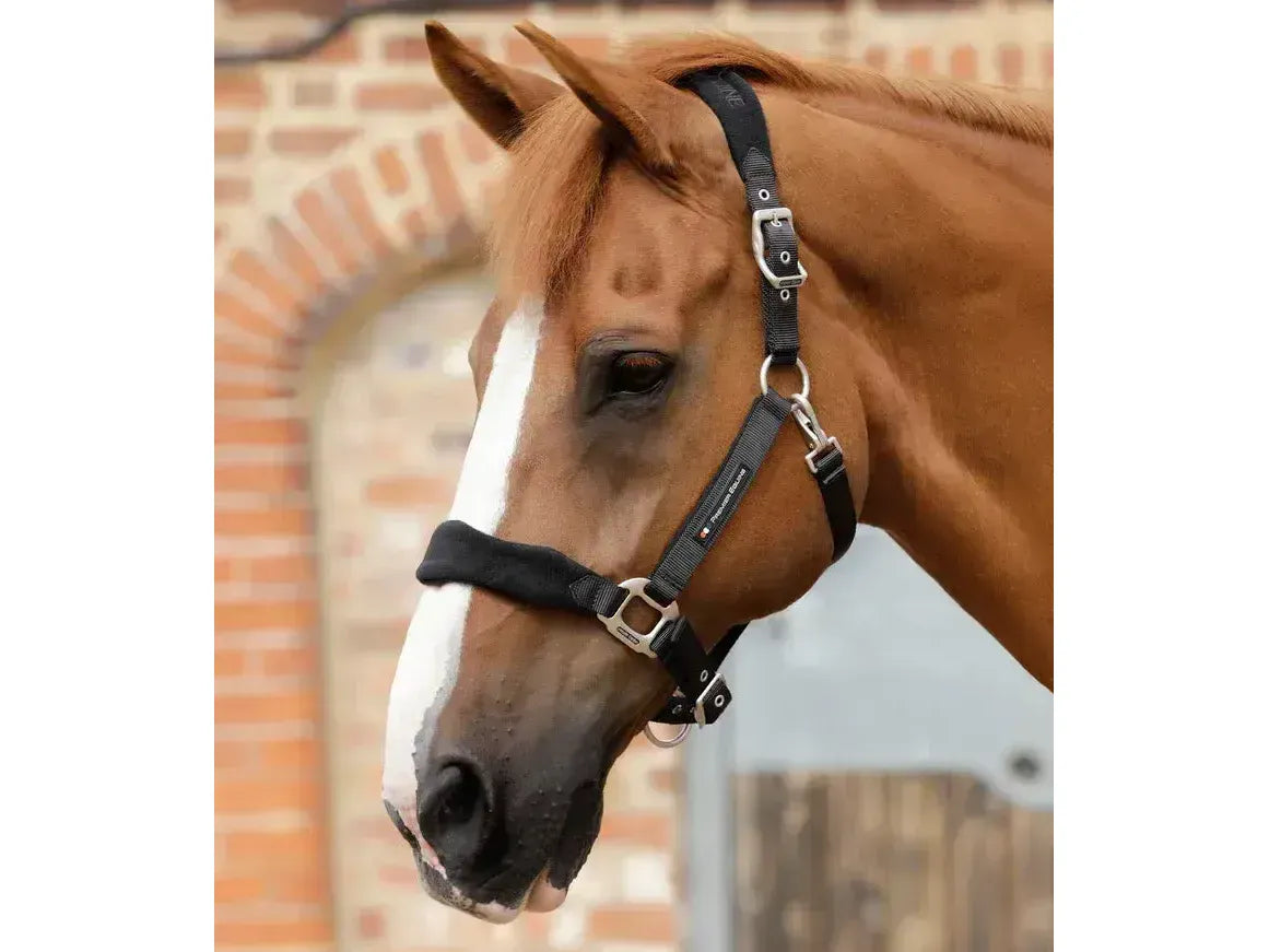 Premier Equine Fleece Padded Head Collar - Pony