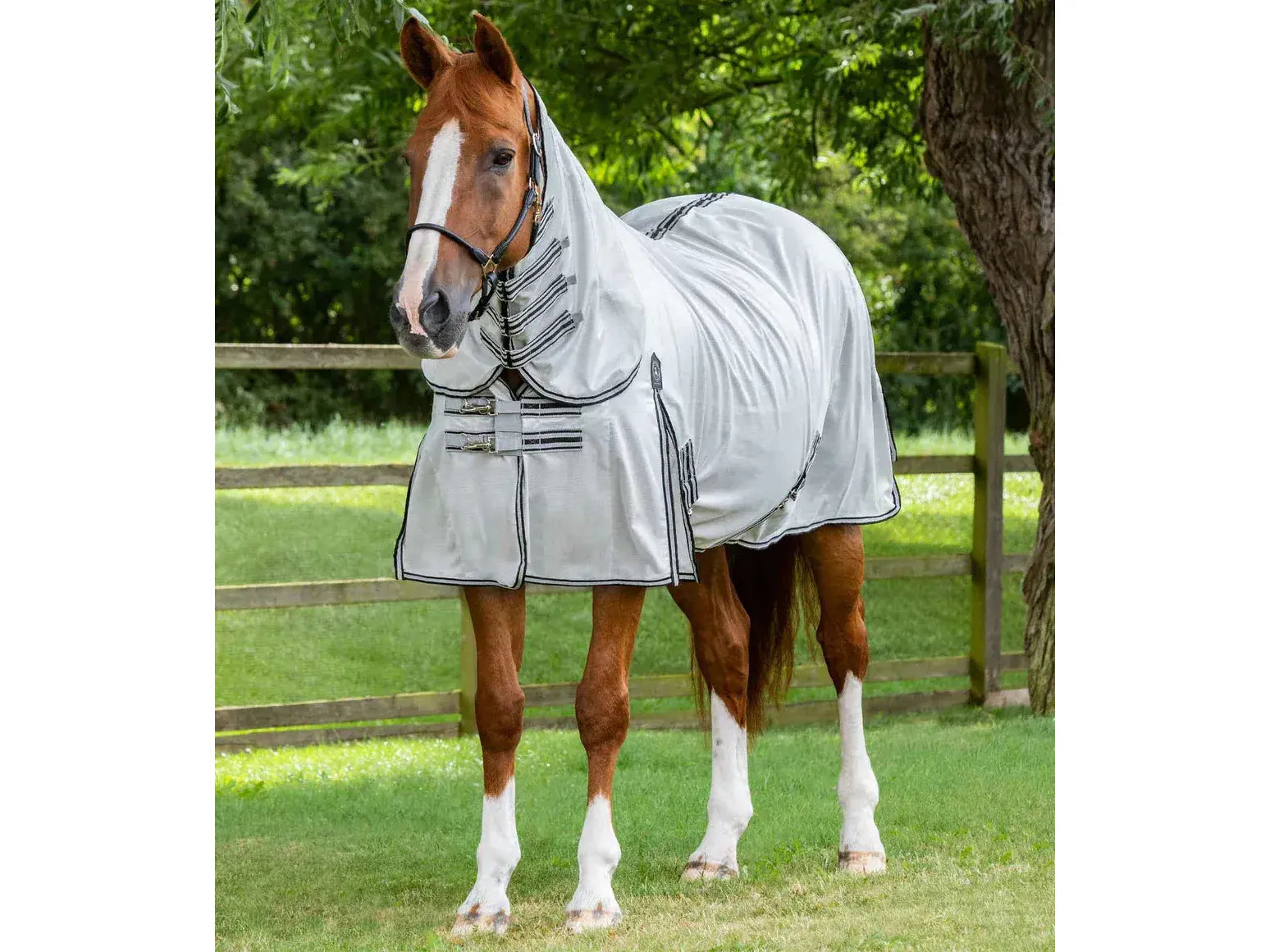 Premier Equine Fly Lite Bug Rug