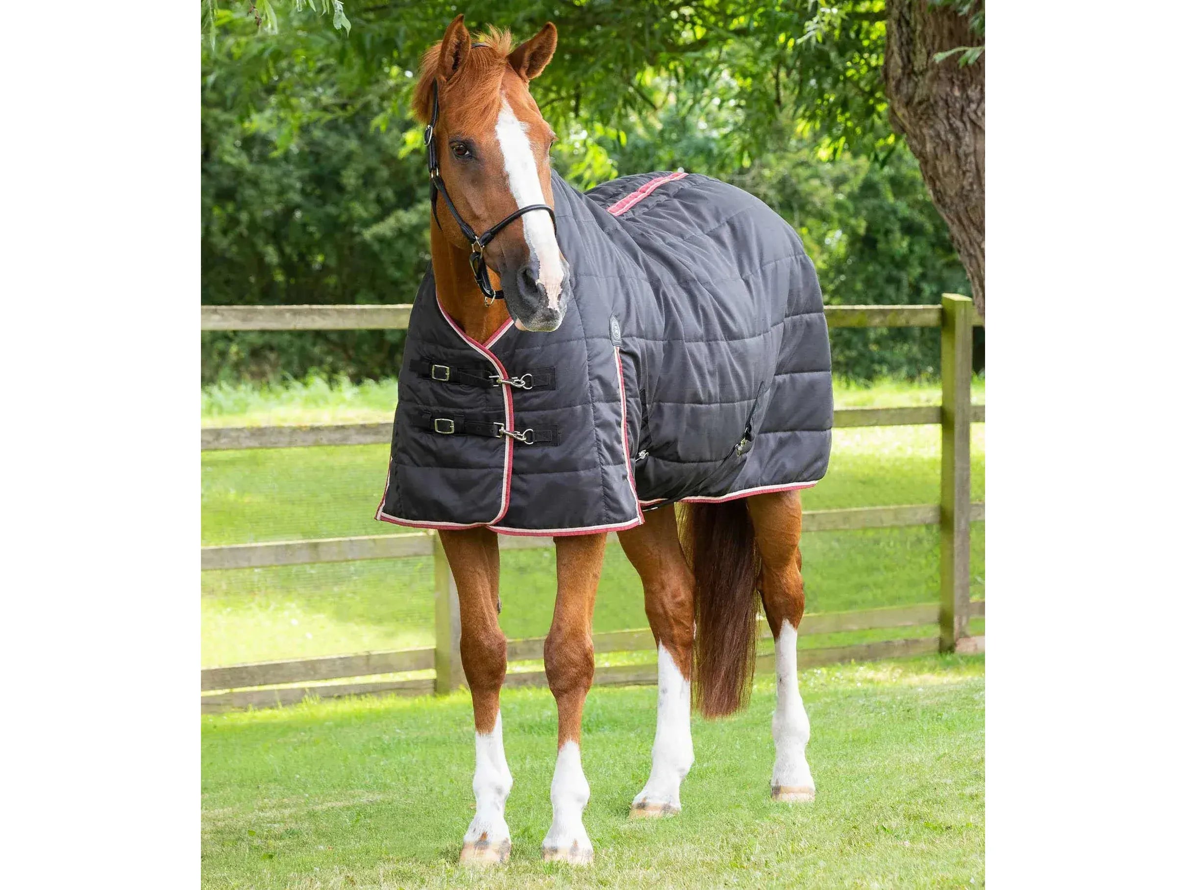 Premier Equine Garissa Stable Rug 100g