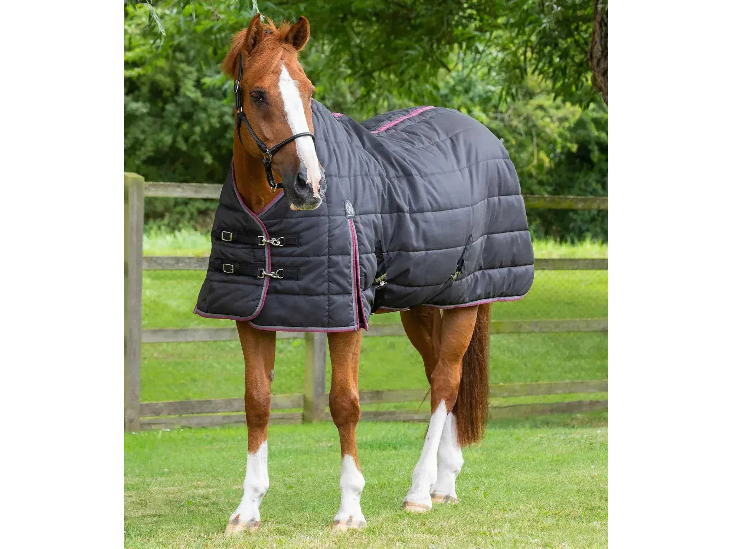 Premier Equine Garissa Stable Rug 200g