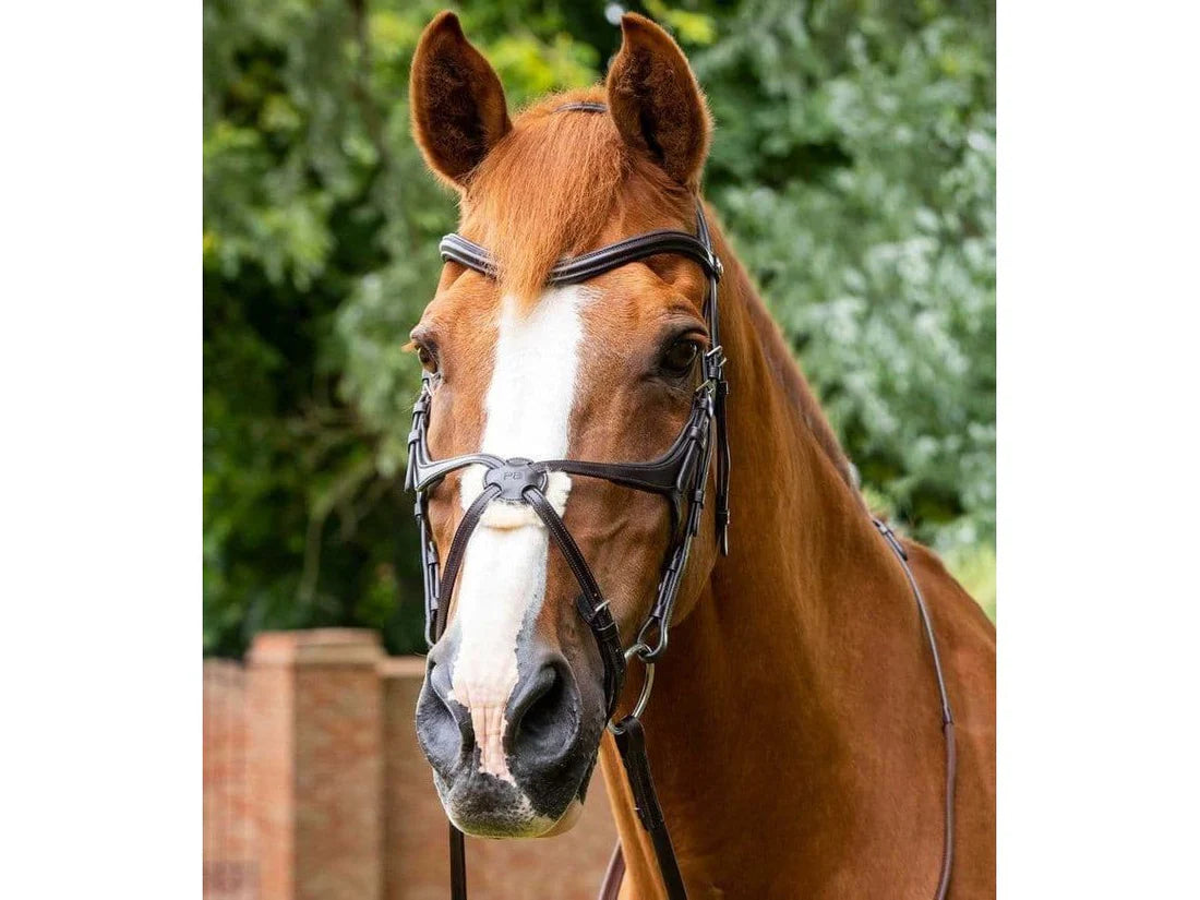 Premier Equine Glorioso Grackle Bridle ExFull Black RRP £102.96