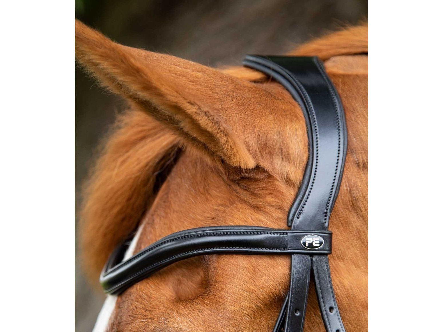 Premier Equine Glorioso Grackle Bridle