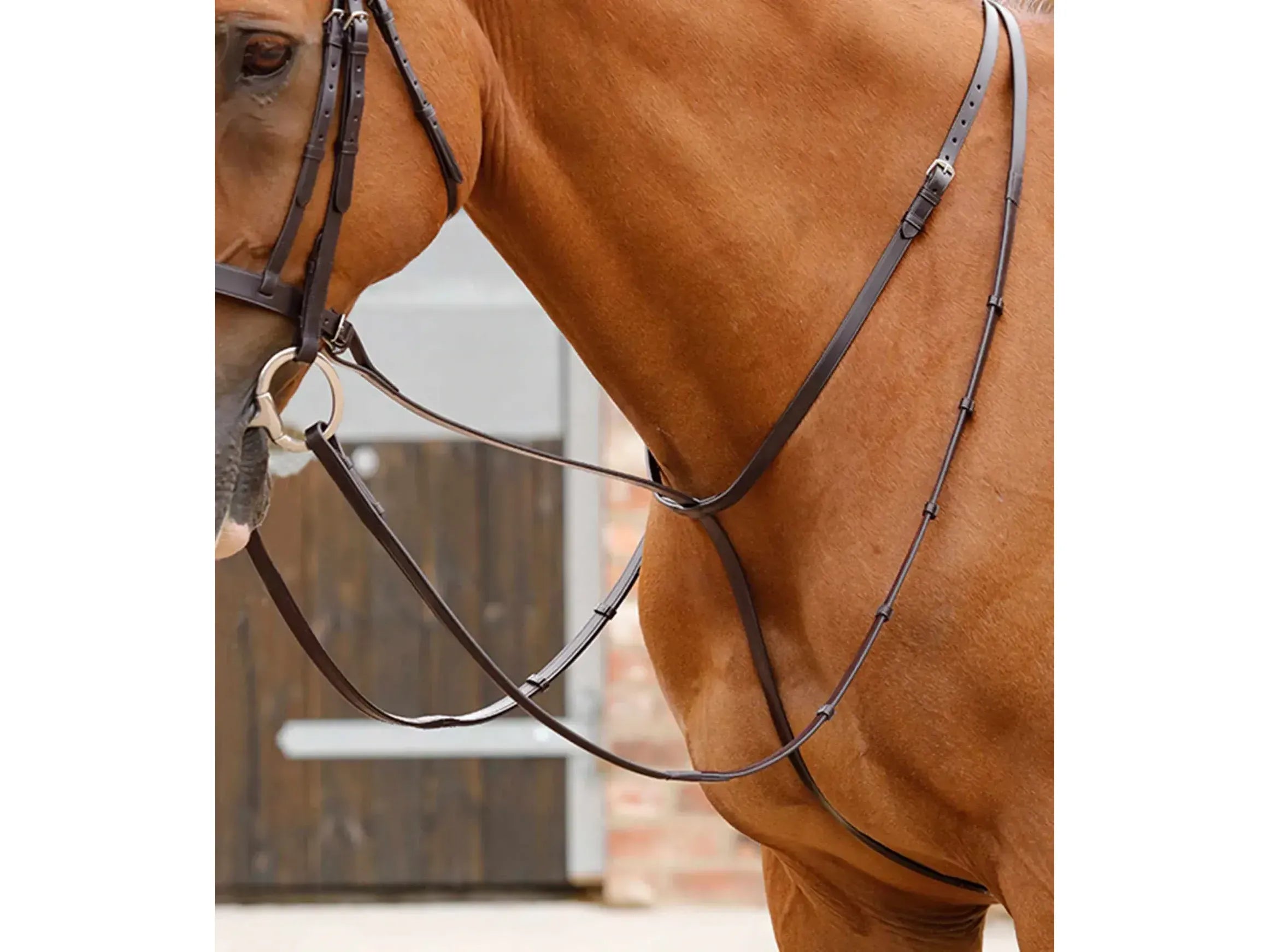 Premier Equine Gressan Standing Martingale