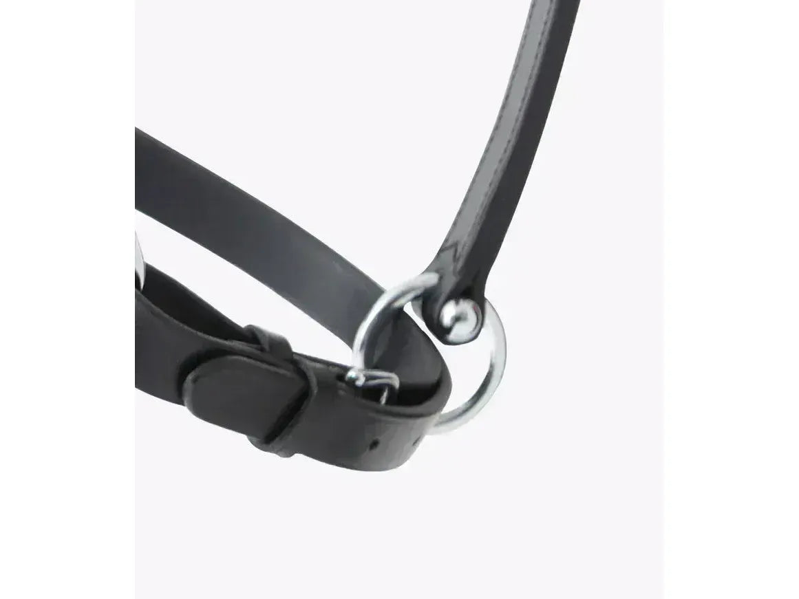 Premier Equine Hennaroso Rolled Anatomic Leather Headcollar