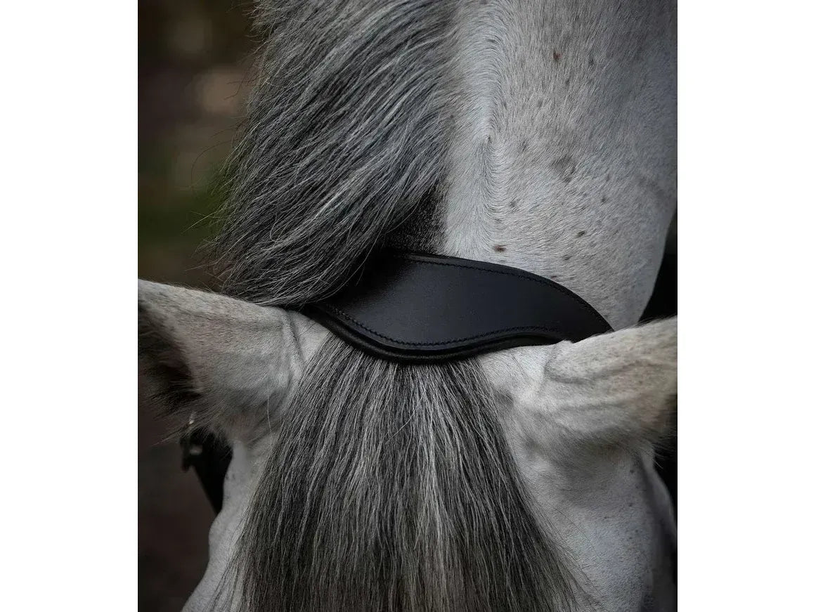 Premier Equine Hennaroso Rolled Anatomic Leather Headcollar