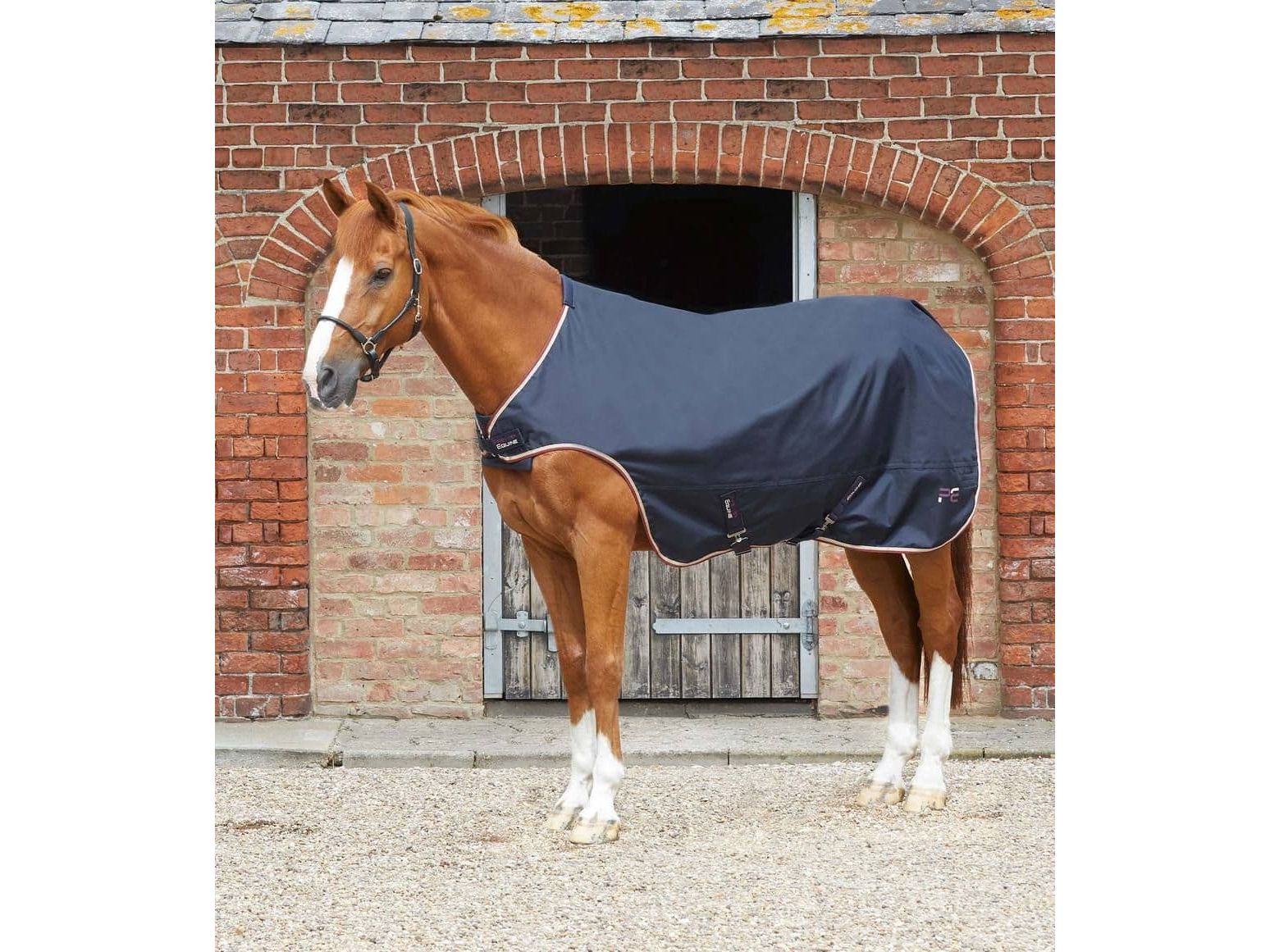 Premier Equine Horse Walker Rug 0g