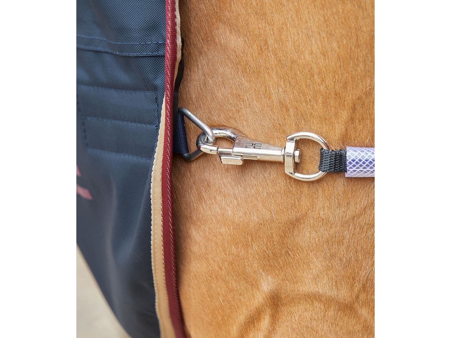 Premier Equine Horse Walker Rug 0g