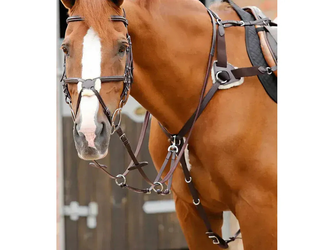 Premier Equine Invorio 5 Point Breastplate