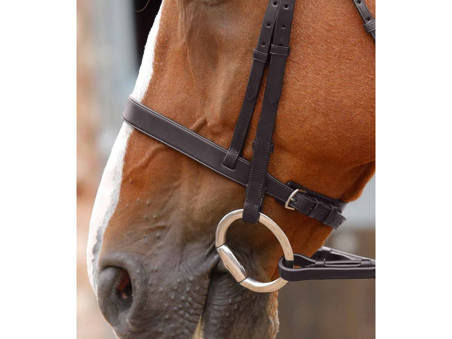 Premier Equine Jointed Flat Ring Eggbutt Snaffle
