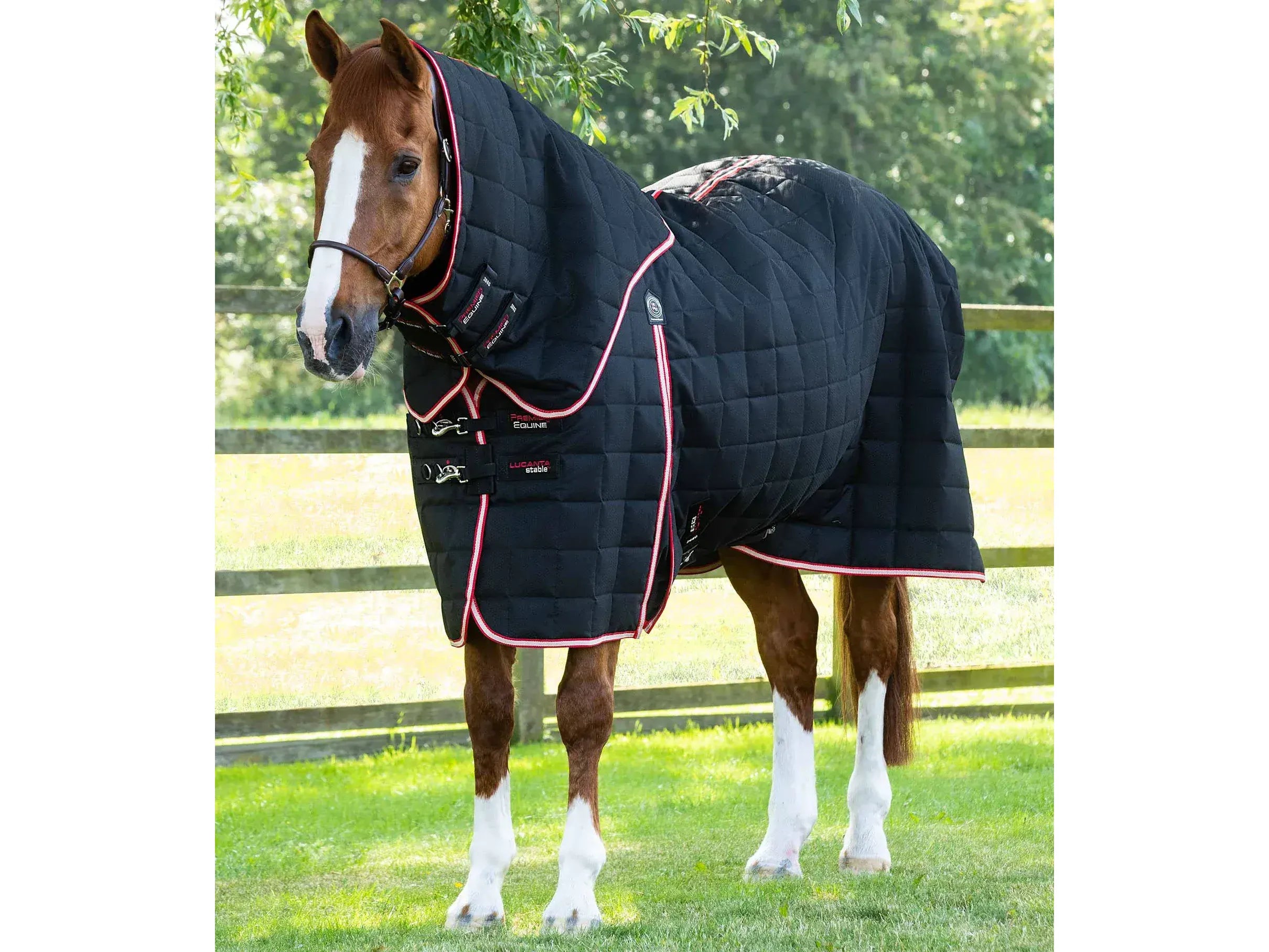 Premier Equine Lucanta 200g Stable Rug with Neck Cover