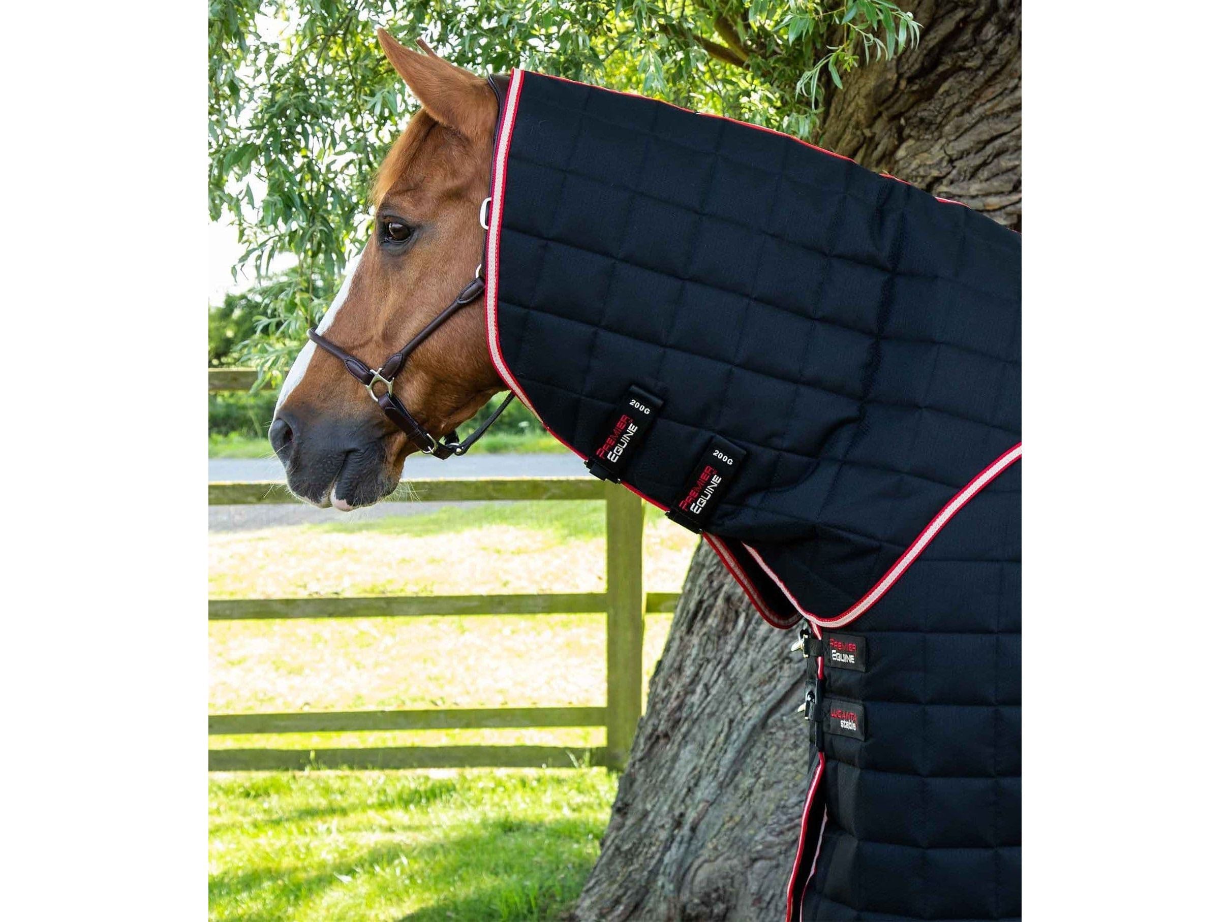Premier Equine Lucanta 450g Stable Rug with Neck Cover