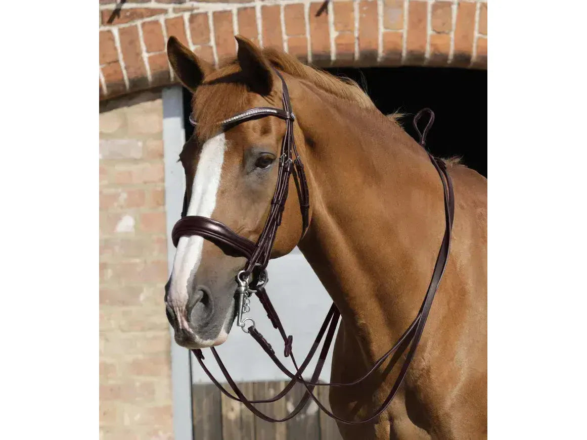 Premier Equine Luigi Plain Leather Reins Black 54" RRP £38.02