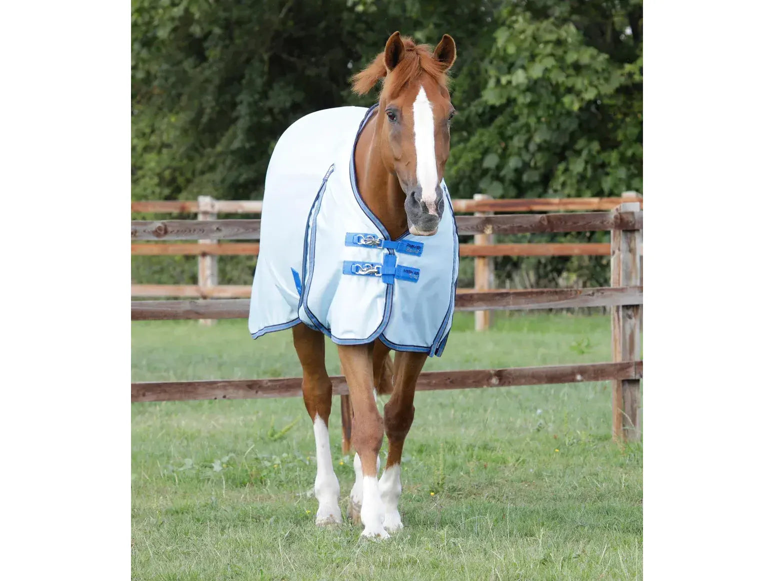 Premier Equine Mesh Air Fly Rug with Surcingles