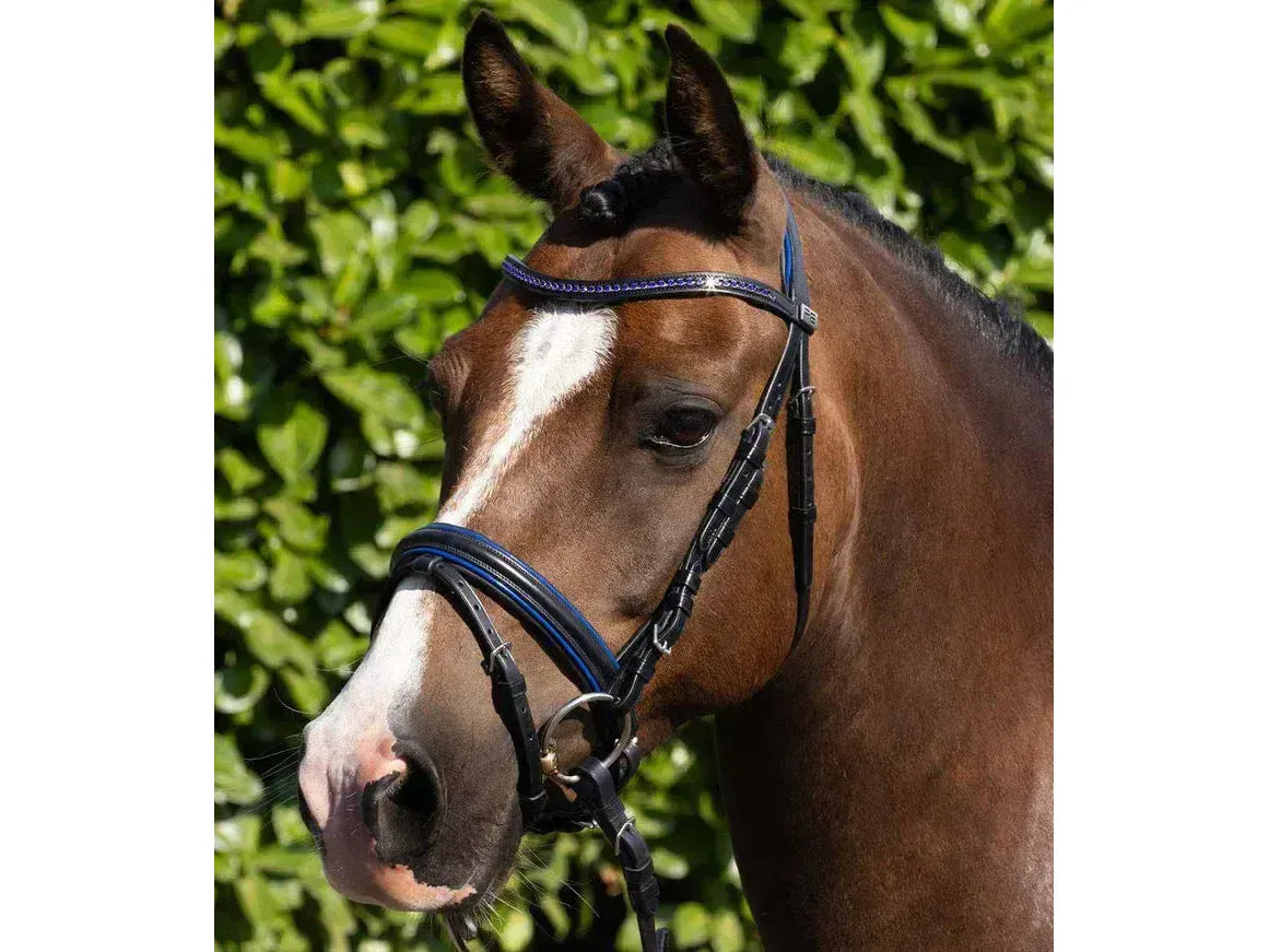 Premier Equine Mineo Pony Snaffle Bridle