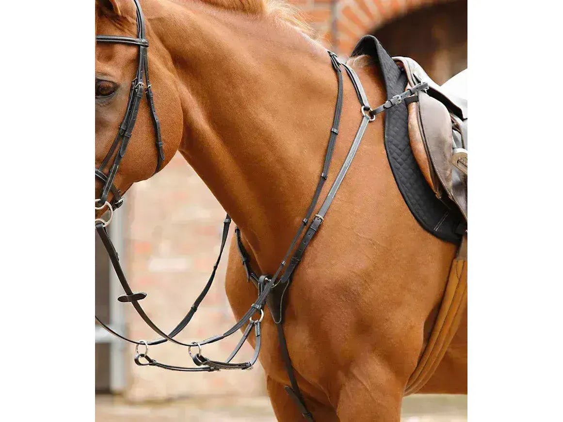 Premier Equine Norbello Hunter Breastplate