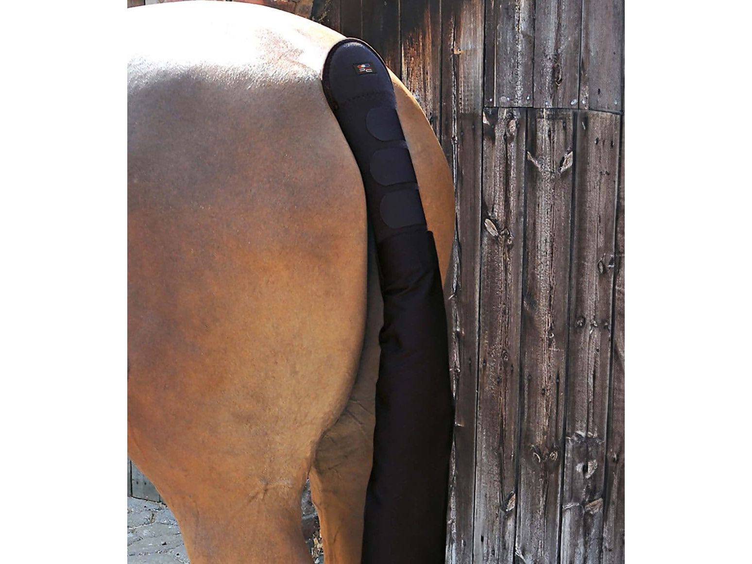 Premier Equine Padded Horse Tail Guard with Tail Bag