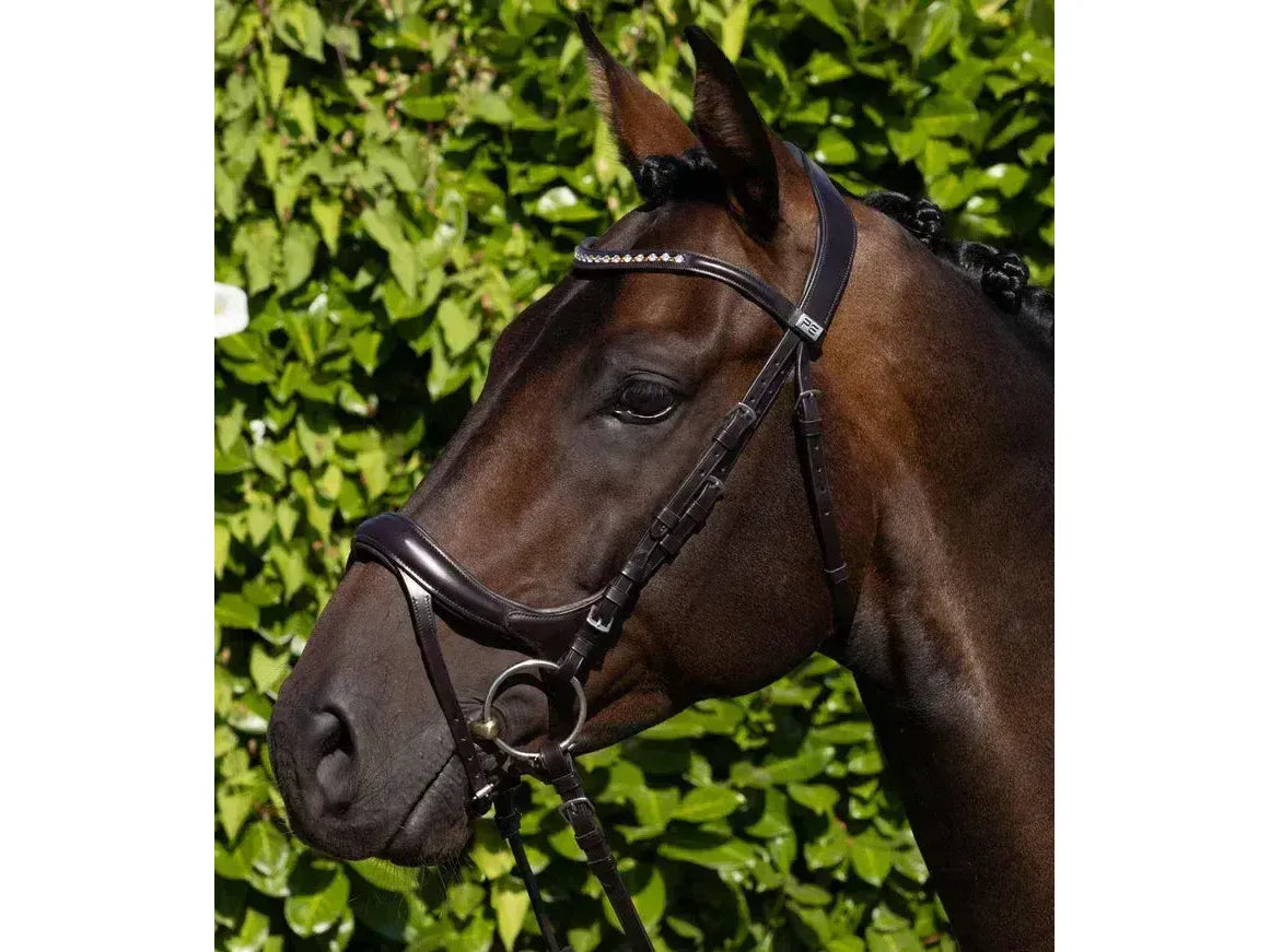 Premier Equine Palazzo Anatomical Bridle