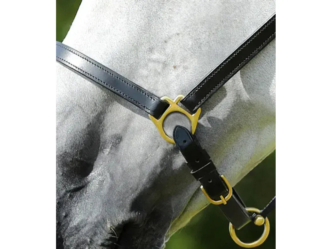 Premier Equine Pasco Plain Leather Head Collar