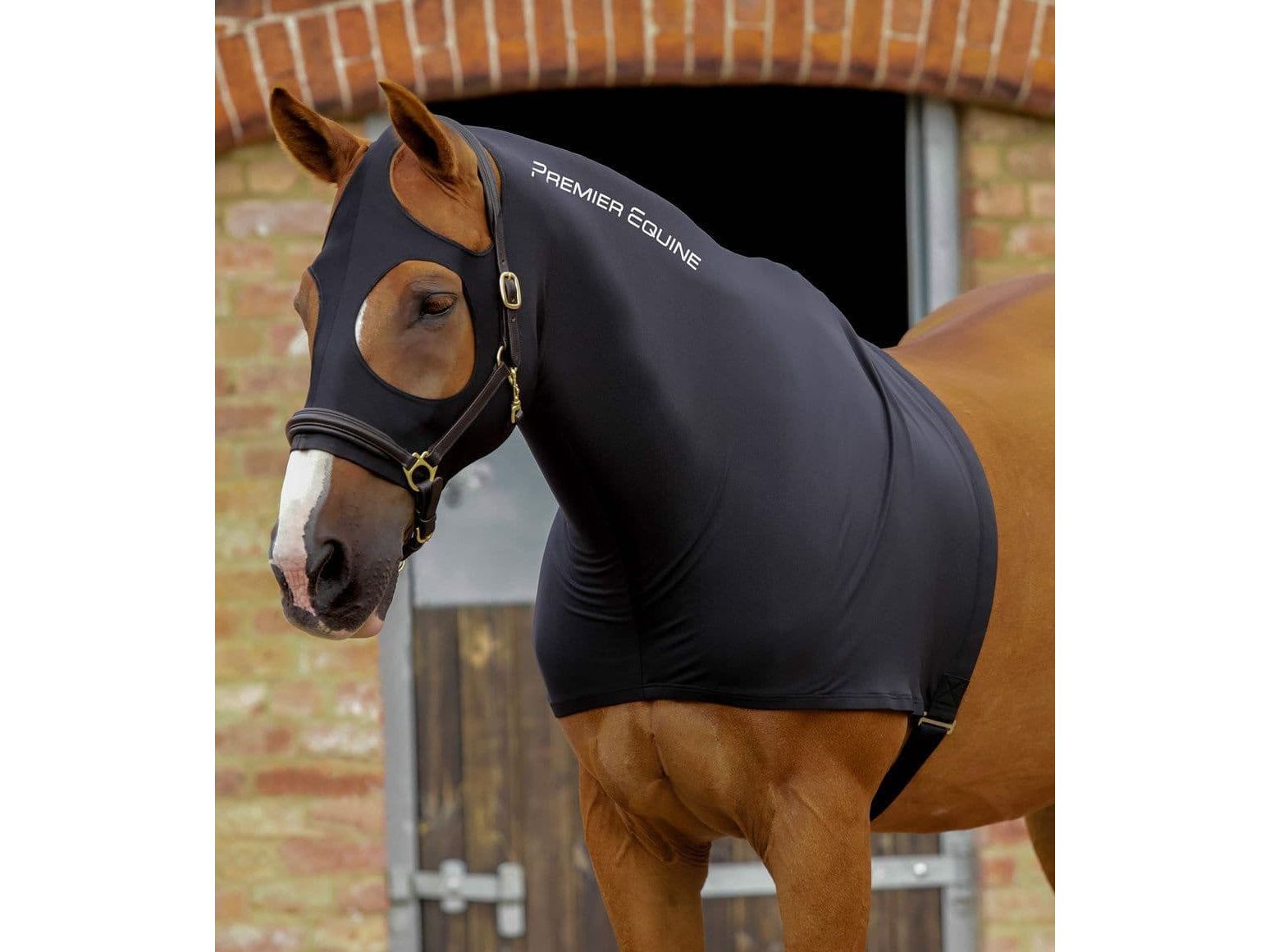 Premier Equine PE Stretch Lycra Hood