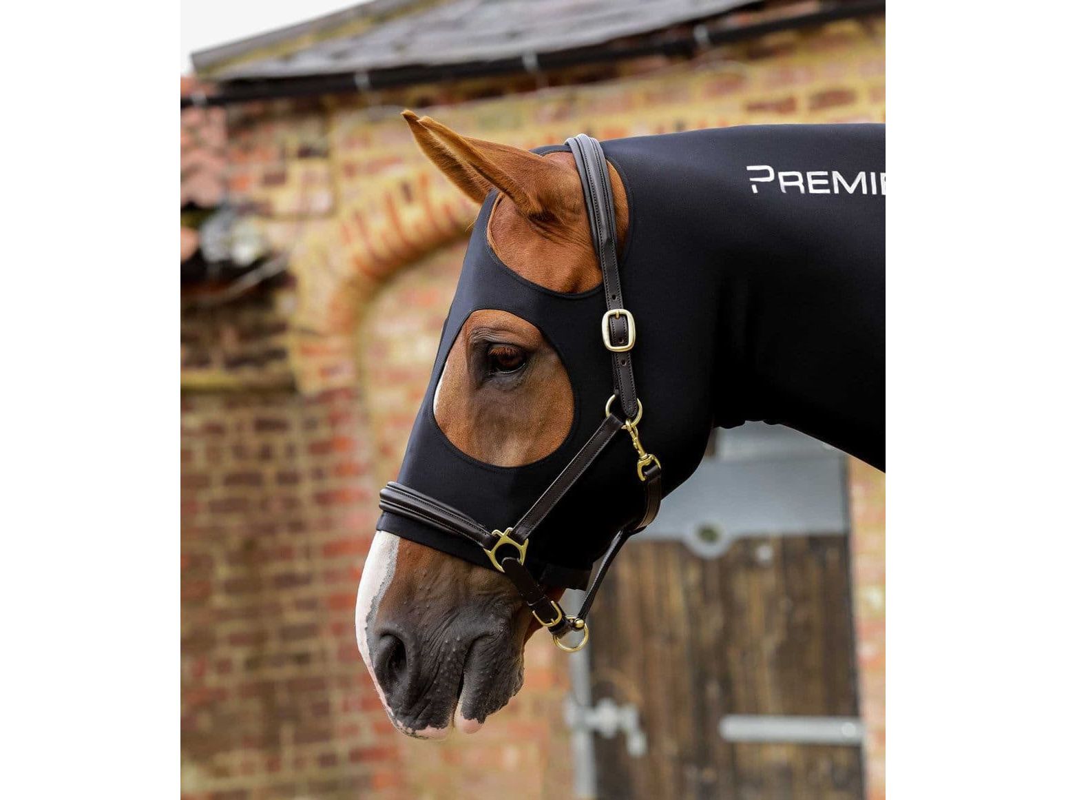 Premier Equine PE Stretch Lycra Hood