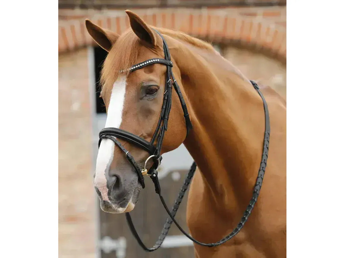 Premier Equine Pietro Laced Reins Black 54" RRP £44.35