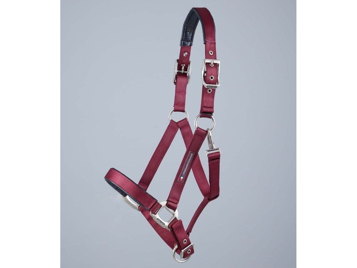 Premier Equine Plain Padded Head Collar