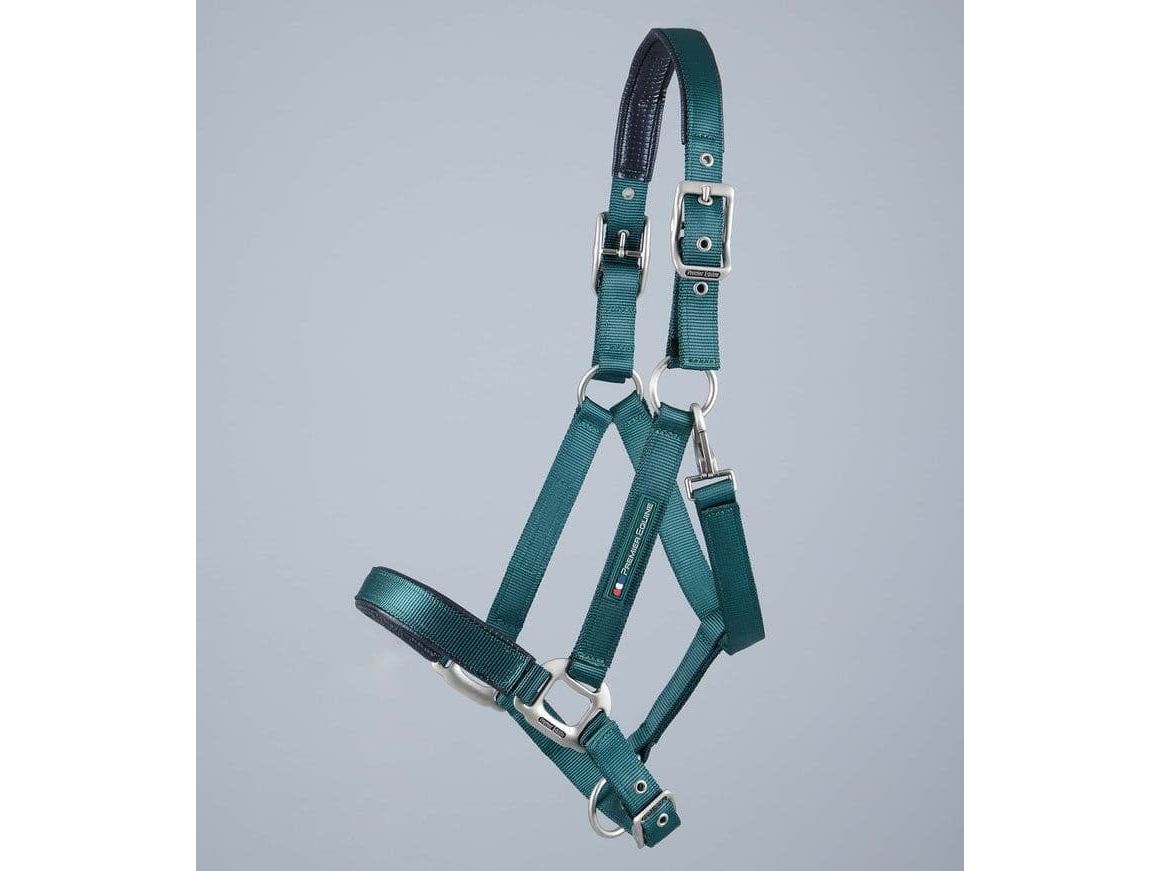 Premier Equine Plain Padded Head Collar
