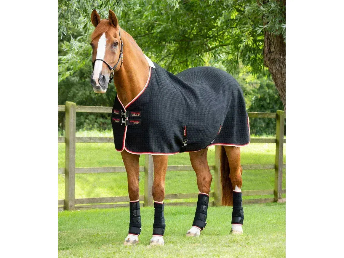 Premier Equine Premtex Horse Cooler Rug