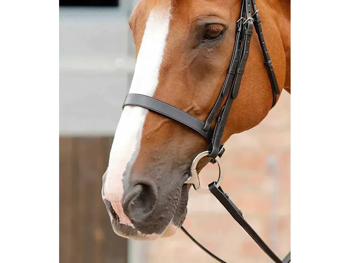 Premier Equine Primo Hunter Cavesson Noseband