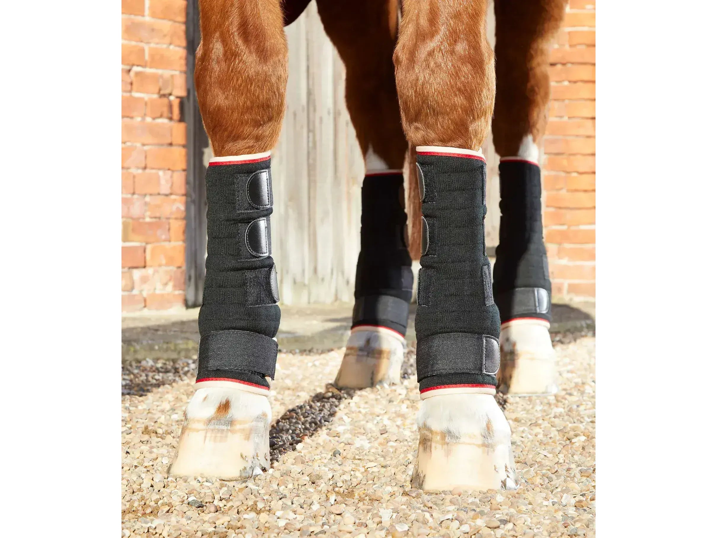 Premier Equine Quick Dry Leg Wraps RRP £34.20