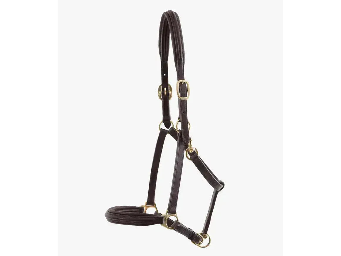 Premier Equine Rego Padded Leather Head Collar