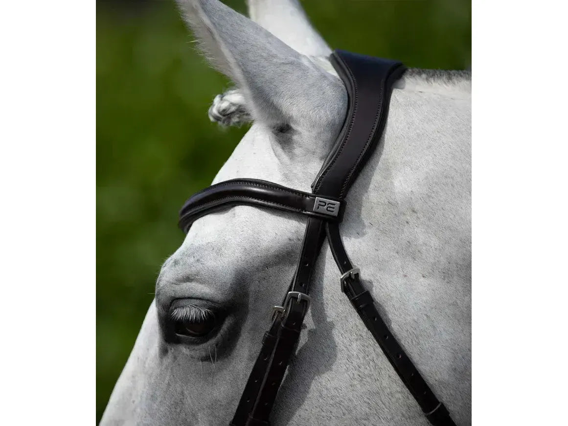 Premier Equine Rizzo Anatomic Snaffle Bridle with Flash