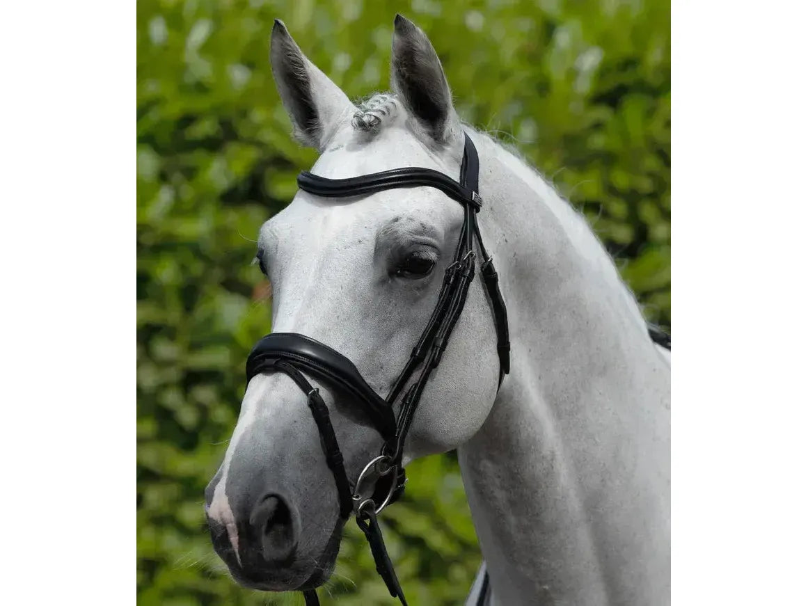 Premier Equine Rizzo Anatomic Snaffle Bridle with Flash