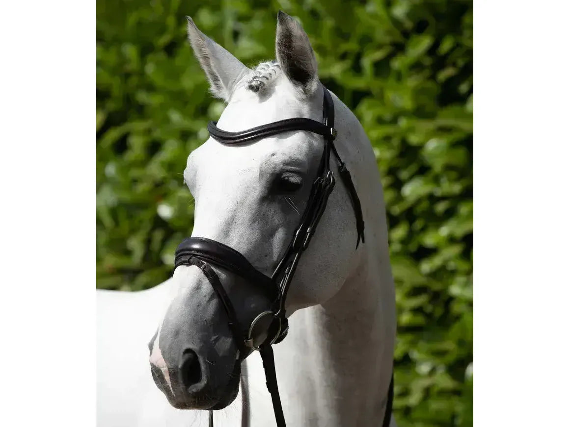 Premier Equine Rizzo Anatomic Snaffle Bridle with Flash