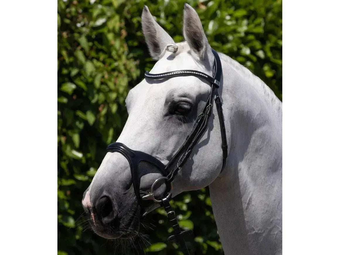 Premier Equine San Paolo Anatomical Bridle