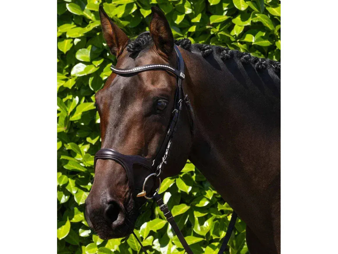 Premier Equine San Paolo Anatomical Bridle