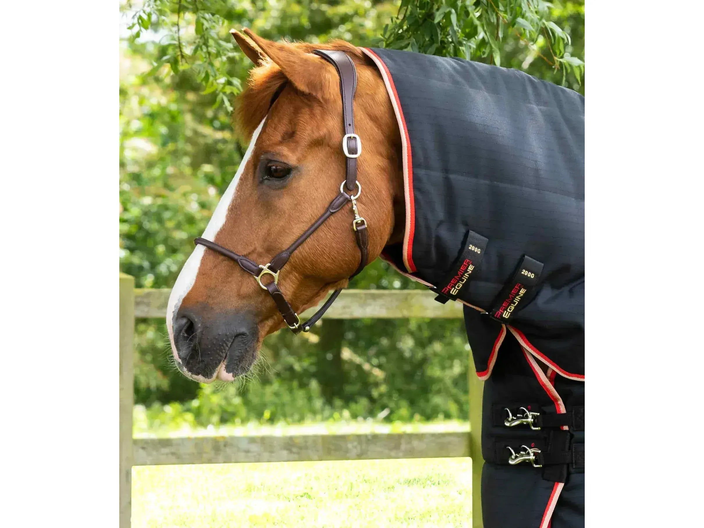 Premier Equine Stable Buster 450g Stable Rug with Neck Cover