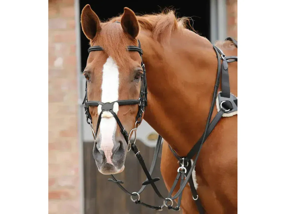 Premier Equine Stefano Rubber Reins