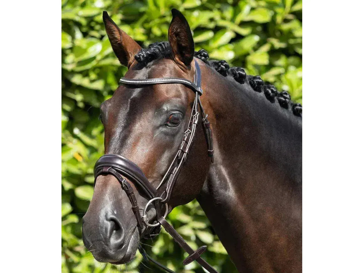 Premier Equine Stellazzio Anatomic Snaffle Bridle with Flash